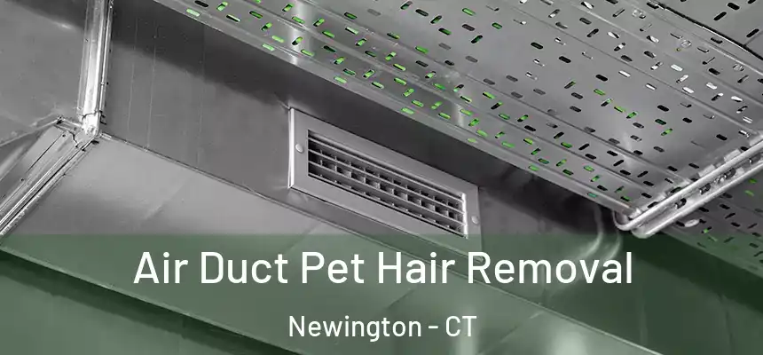 Air Duct Pet Hair Removal Newington - CT