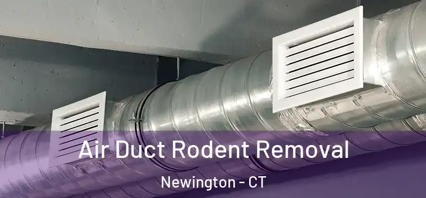  Air Duct Rodent Removal Newington - CT