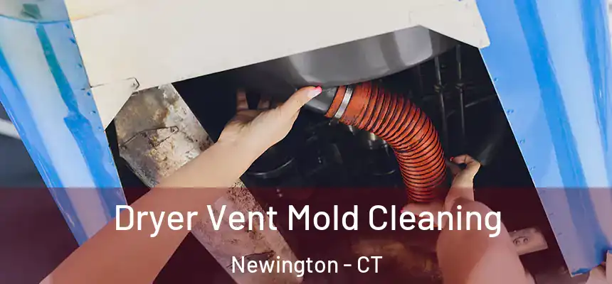  Dryer Vent Mold Cleaning Newington - CT