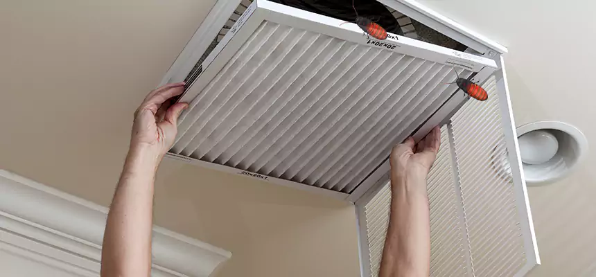 Preventive Cockroach-Proofing for Ducts in Newington