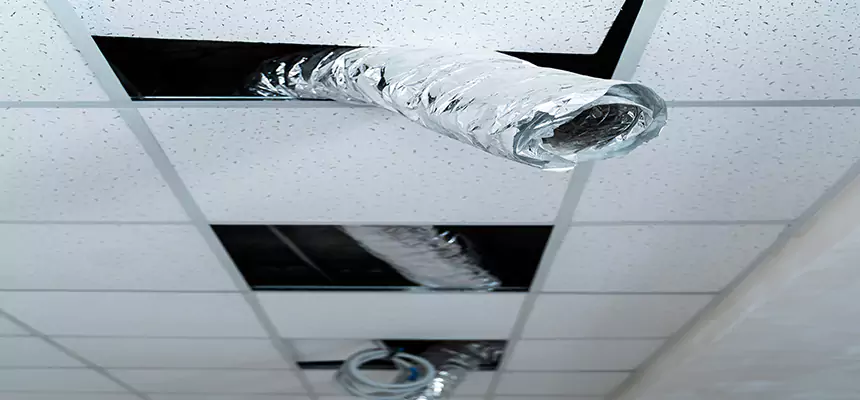 Our Air Duct Pet Hair Removal Services in Newington, CT