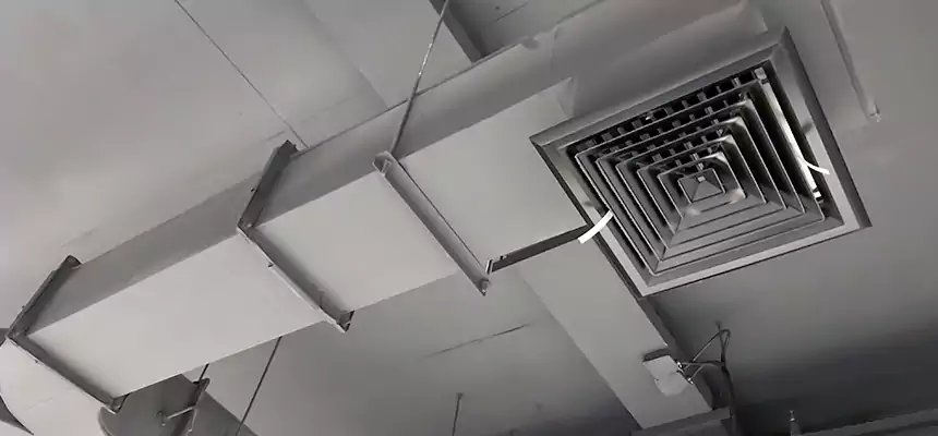 Restorative Allergy Relief Vent Cleaning – Coil, Blower & Housing Detail in Newington