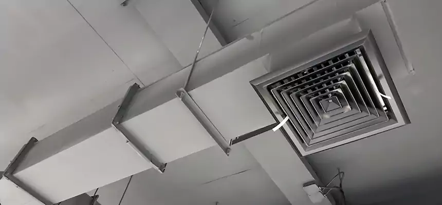 Our Rodent Droppings In Vents Services in Newington, CT