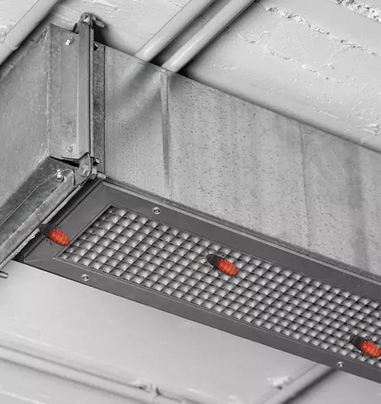 Affordable Insect Removal from Air Ducts in Newington, CT