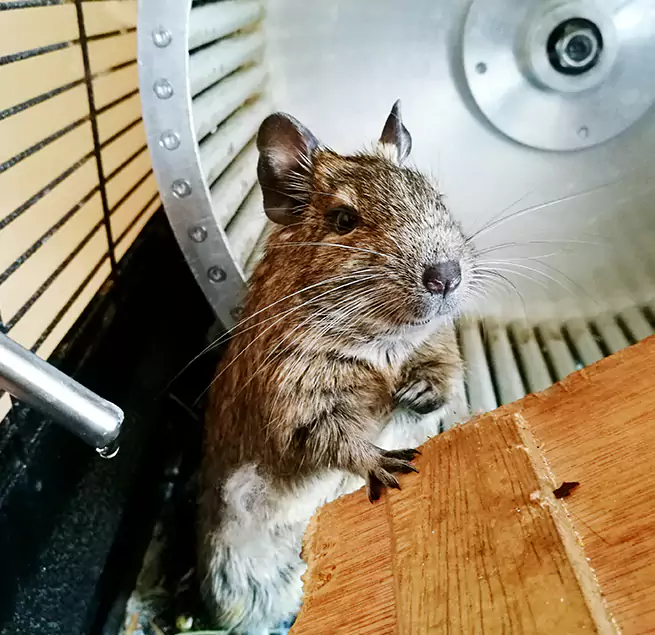 Why Homeowners & Businesses Trust Us Newington, CT?